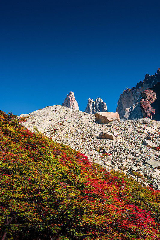 智利巴塔哥尼亚的裴恩国家公园(Torres del Paine National Park)拥有金秋和蓝天下的森林和山峰